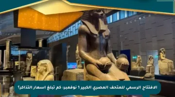 الافتتاح الرسمي للمتحف المصري الكبير 1 نوفمبر: كم تبلغ أسعار التذاكر؟